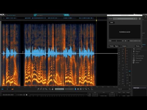 Izotope Rx Spectral Noise Masterclass